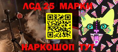 гашик Славгород