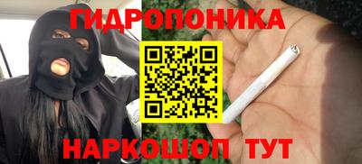 гашик Славгород
