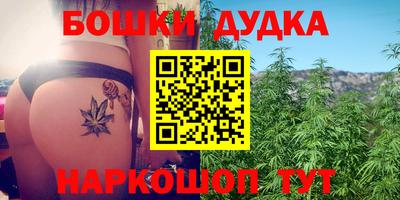 гашик Славгород
