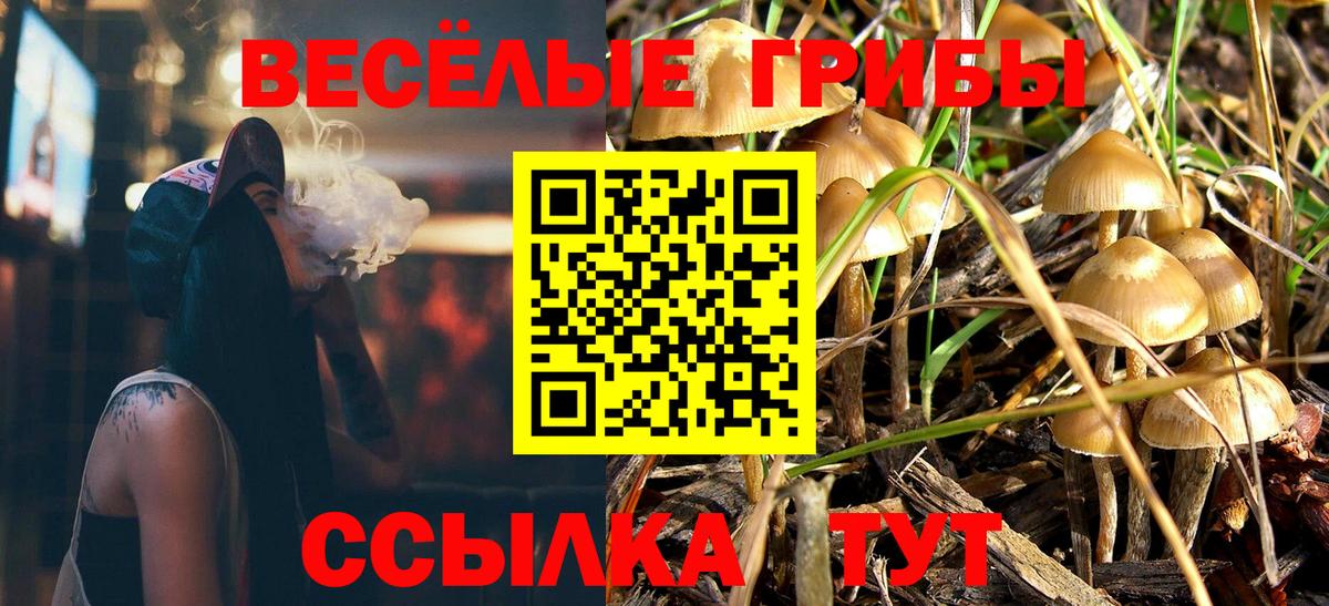 Галлюциногенные грибы Cubensis  Вход с VPN  Псилоцибиновые грибы MAGIC MUSHROOMS  Нововоронеж 