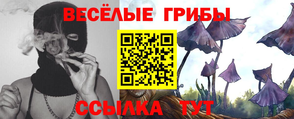 Псилоцибиновые грибы Cubensis Нововоронеж